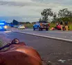 SSP atua em acidente envolvendo animais na BR-343 durante Operação