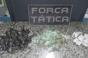 Apreensão de drogas (Foto: PM-PI)