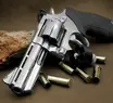 Quase metade das armas registradas no Piauí estão com documento vencido, alerta PF
