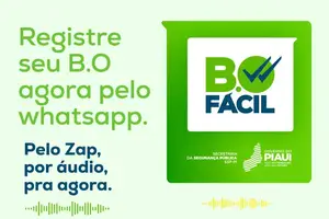 B.O Fácil (Foto: SSP-PI)