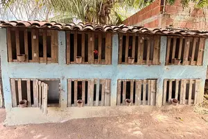 Cativeiro (Foto: SSP-PI)