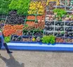 Governo Federal investe R$ 89 bilhões na agricultura familiar