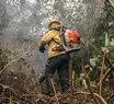 Justiça bloqueia R$ 212 milhões em bens de fazendeiros por degradação ambiental
