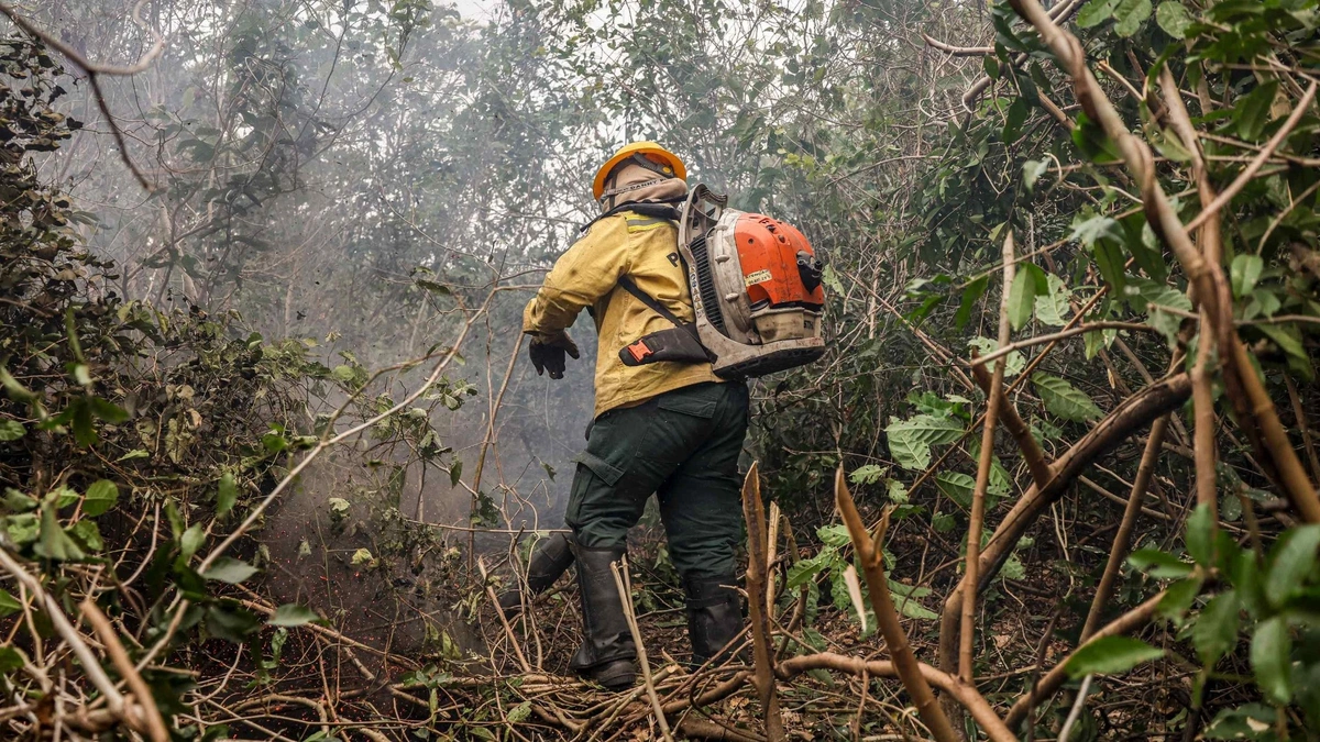 MPF e AGU responsabilizam pecuaristas por danos a terras da União no MS