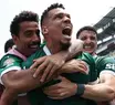 Paulinho supera dor para derrubar Botafogo e pôr Palmeiras nas quartas