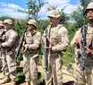 Operação integrada entre Piauí e Pernambuco localiza plantação de maconha