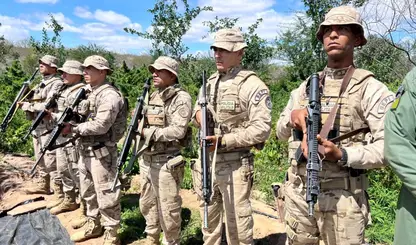 Operação integrada entre Piauí e Pernambuco localiza plantação de maconha