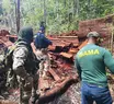 No Dia Mundial do Meio Ambiente, PRF divulga resultados