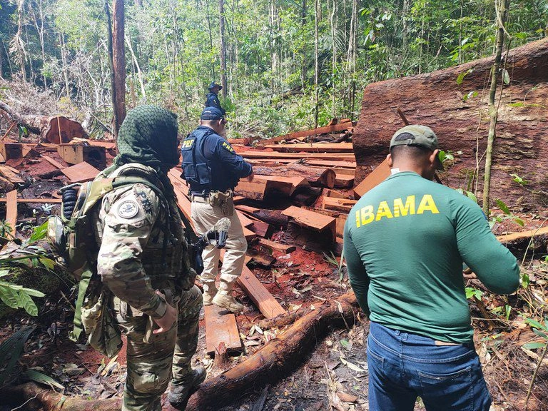 PRF e IBAMA em operação de combate a extração de madeira ilegal