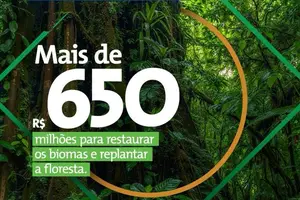 Programa BNDES Florestas recupera biomas e Amazônia Legal, unindo preservação e geração de empregos (Foto: BNDES)