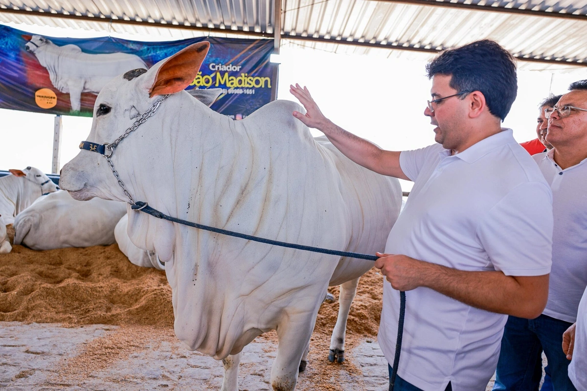 Rafael Fonteles na Feira em Piracuruca