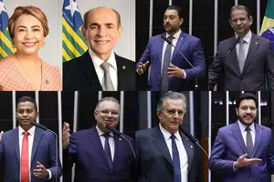 Veja como votaram os senadores e deputados piauienses na medida que pode aumentar a conta de luz (Foto: Reprodução)