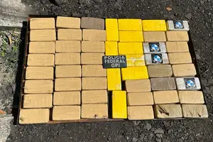 Apreensão de drogas PF GPI em Altos (Foto: PF)