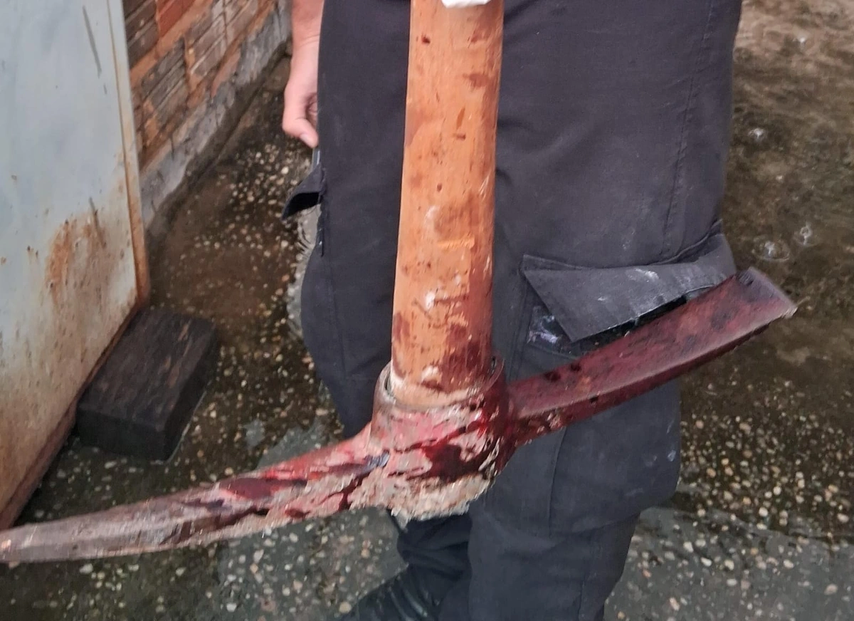 Arma do crime utilizada para matar Raimundo Nonato da Silva, de 69 anos
