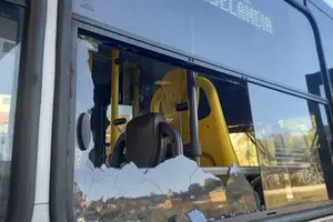 Ataque a ônibus em Cotia (Foto: Reprodução)