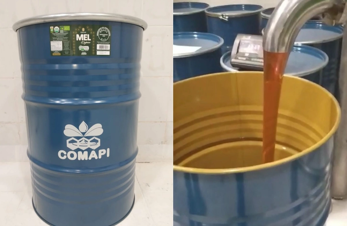 Cooperativa piauiense exporta mel da agricultura familiar para o Japão pela primeira vez