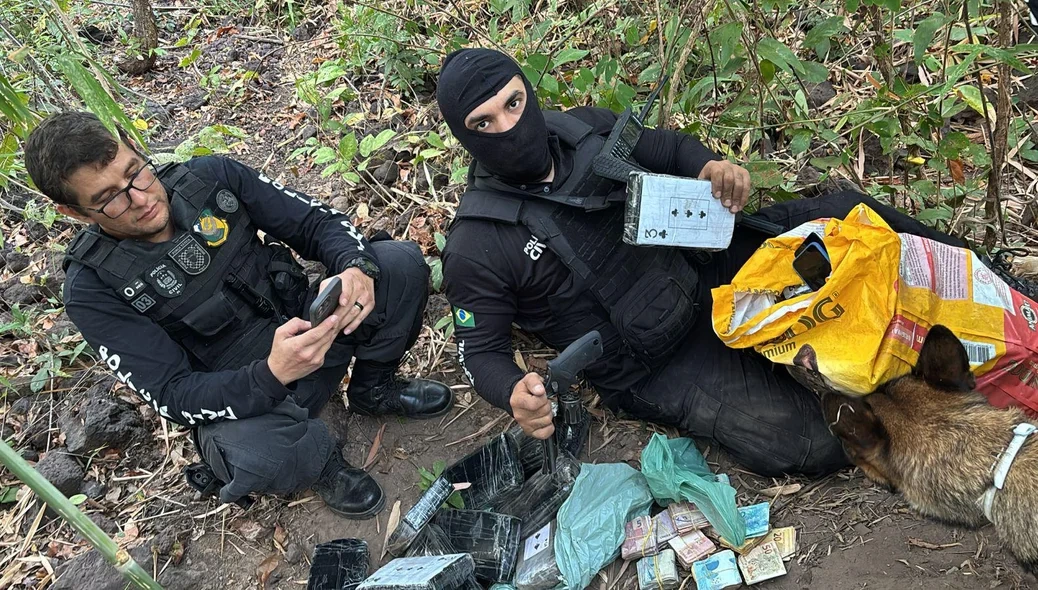 Mais de 170 kg de cocaína são achados enterrados em sítio durante operação em Teresina