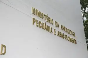 MAPA busca novos mercados para substituir exportações brasileiras aos EUA (Foto: Agencia Brasil)