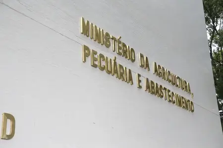 Brasil busca novos mercados para reduzir dependência das exportações aos EUA