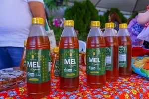 Mel orgânico produzido pela Comapi (Foto: Geirly Silva / SAF)