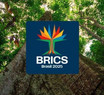 Declaração final da Cúpula do Brics defende reforma ampla da ONU
