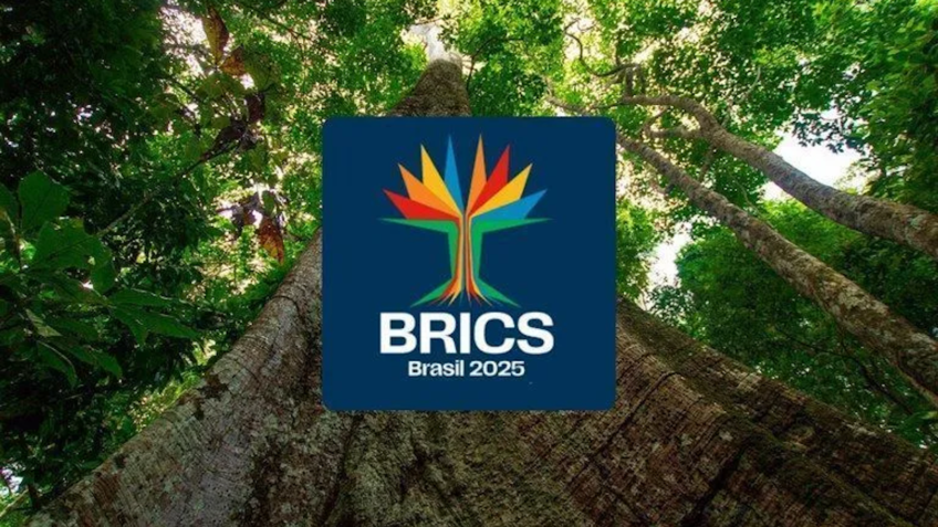 Projeto de comunicação visual da Cúpula do Brics