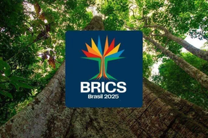 Projeto de comunicação visual da Cúpula do Brics (Foto: Reprodução | Agência Gov)