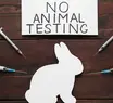 Câmara aprova projeto que proíbe uso de animais em testes de cosméticos no Brasil