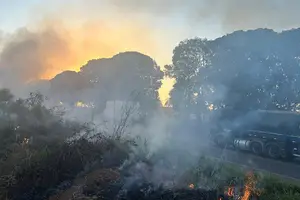 Queimada em Rondônia (Foto: PF)