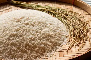 Arroz (Foto: Reprodução)