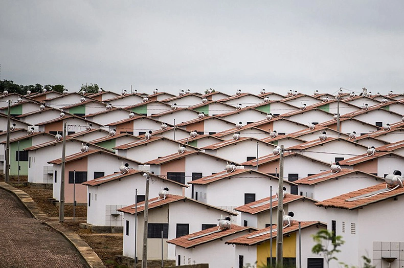 Casas construídas pelo Programa Minha Casa Minha Vida