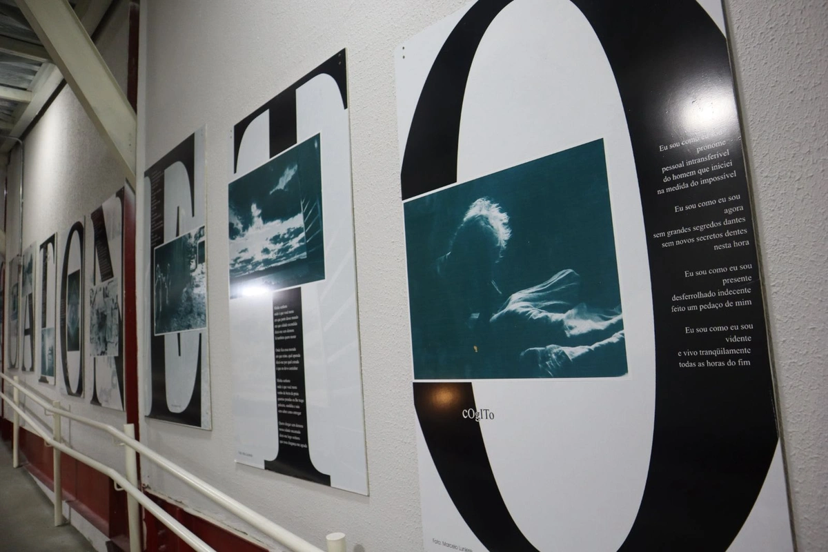 Exposição