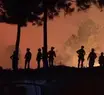 Portugal declara estado de alerta por conta do risco de incêndios