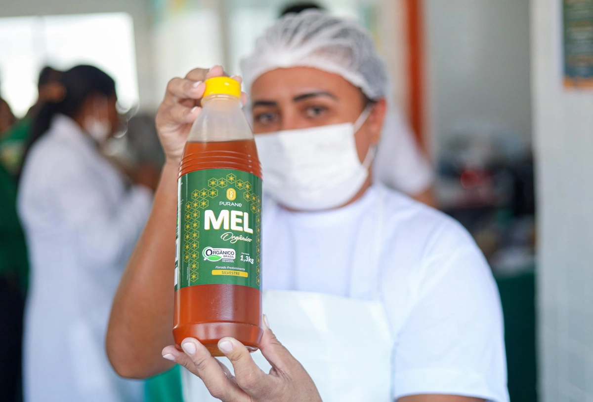 Mel orgânico na merenda escolar