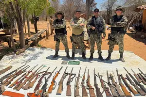 Armas apreendidas em Operação Biodiversidade Caatingueira I (Foto: SSP-PI)
