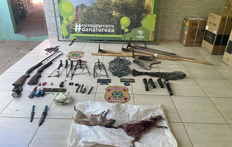 Armas e animais abatidos apreendidos