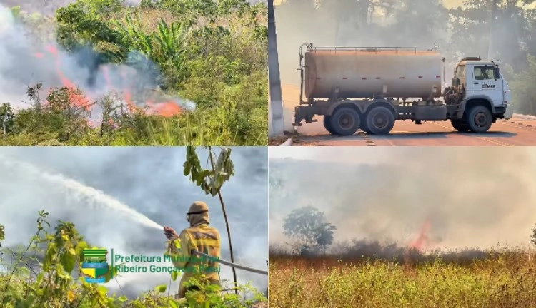 Brigadistas atuam em incêndio na cidade de Ribeiro Gonçalves