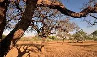 Inmet prevê El Niño muito forte e alerta para eventos climáticos extremos no Brasil