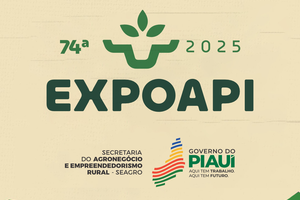 Expoapi 2025 (Foto: Reprodução)