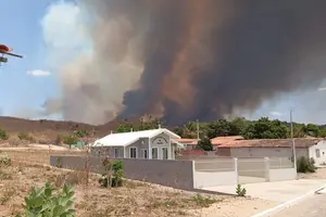 Incêndios por queimadas tem redução (Foto: Reprodução)