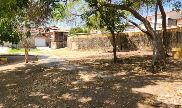 CREA alerta para riscos com árvores e reforça necessidade de laudo técnico em podas