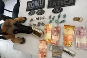 Droga enterrada às margens do rio é localizada por cão farejador em Teresina (Foto: SSP-PI)