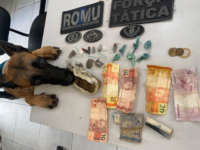 Droga enterrada às margens do rio é localizada por cão farejador em Teresina