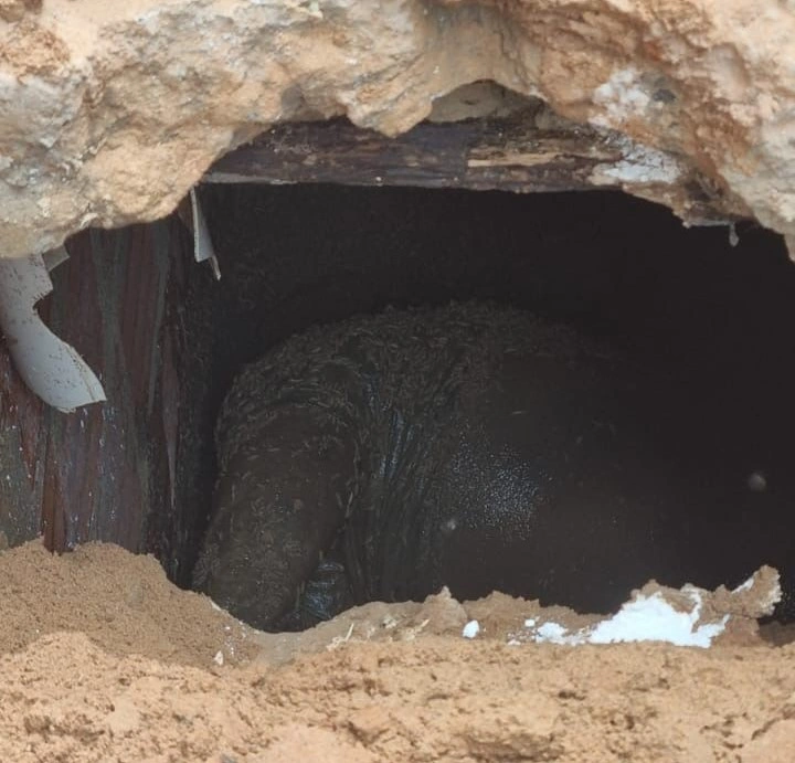 Fossa onde foi encontrado o corpo de Cipriano