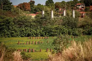 Ponte da UFPI com Água Mineral segue incerta (Foto: Reprodução)