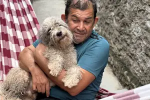 Seis meses de buscas, tutor reencontra cão desaparecido (Foto: Redes Sociais)
