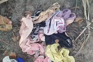 Um homem investigado por furtos e duas tentativas de estupro foi preso nesta segunda-feira (12) (Foto: SSP-PI)