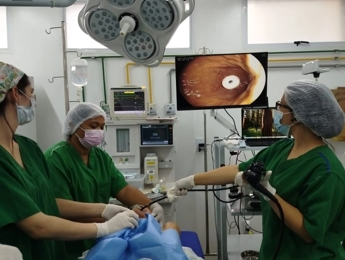 Gastrostomia Endoscópica Percutânea
