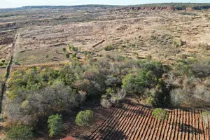 Piauí reduz desmatamento no Cerrado (Foto: Reprodução | Ascom Semarh)