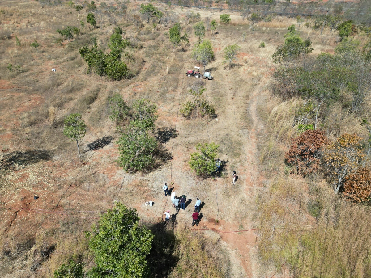 Piauí reduz desmatamento no Cerrado